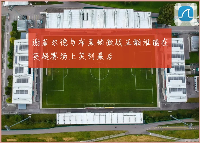 谢菲尔德与布莱顿激战正酣谁能在英超赛场上笑到最后