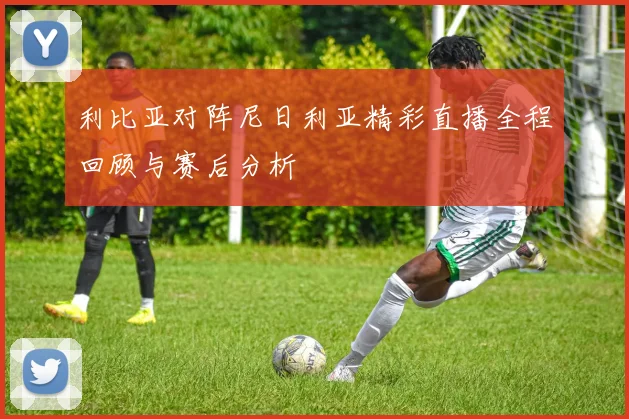 利比亚对阵尼日利亚精彩直播全程回顾与赛后分析
