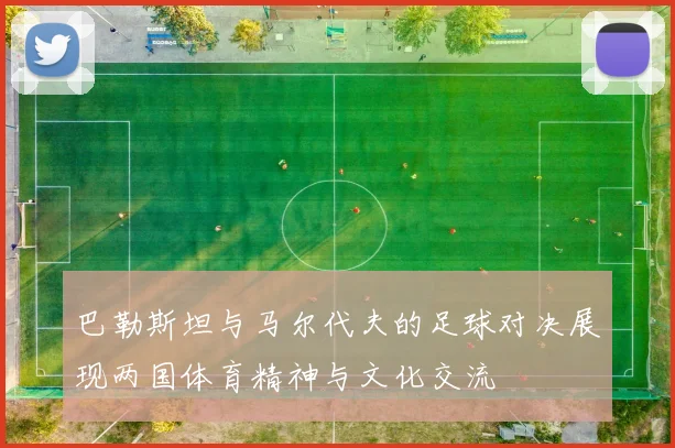巴勒斯坦与马尔代夫的足球对决展现两国体育精神与文化交流