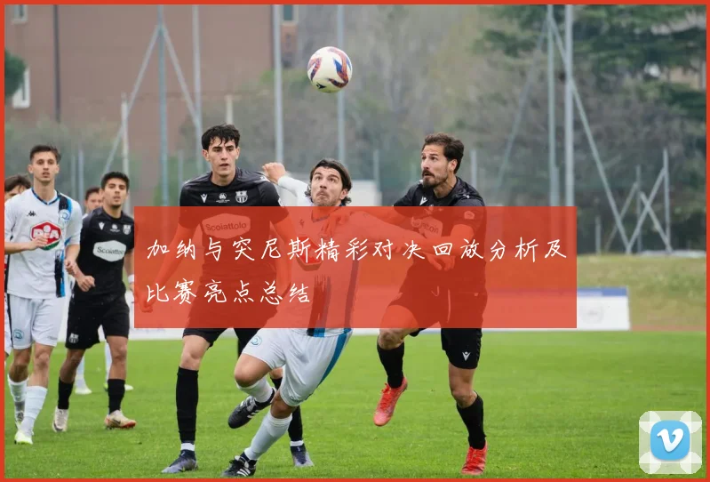 加纳与突尼斯精彩对决回放分析及比赛亮点总结