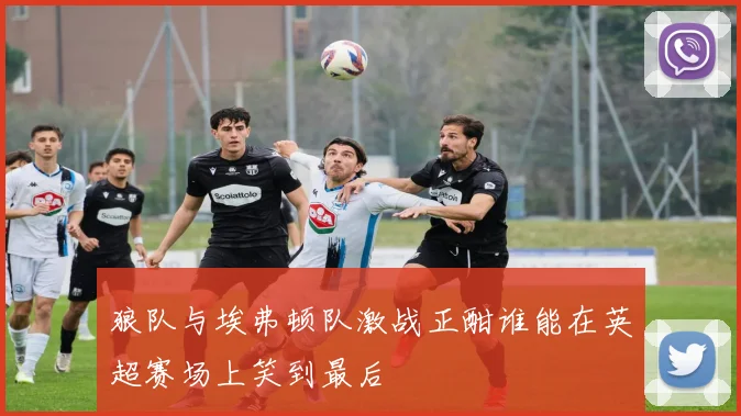 狼队与埃弗顿队激战正酣谁能在英超赛场上笑到最后
