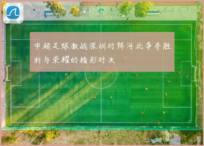 中超足球激战深圳对阵河北争夺胜利与荣耀的精彩对决
