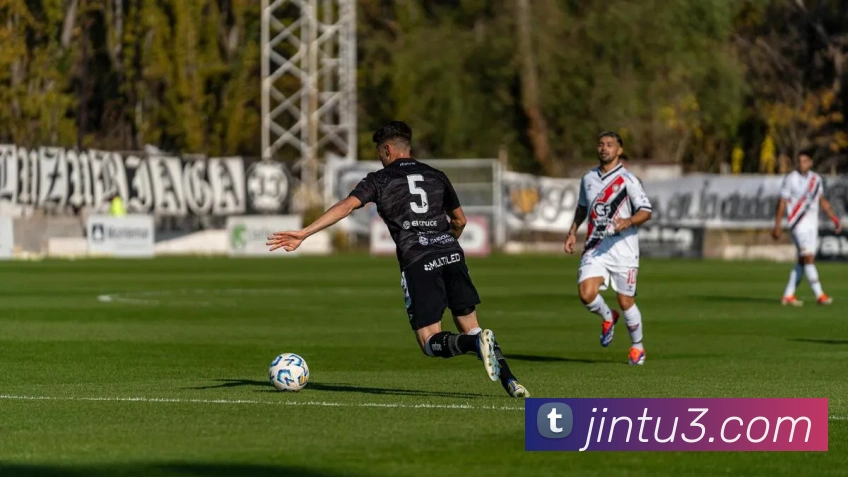 博鱼体育平台生态图