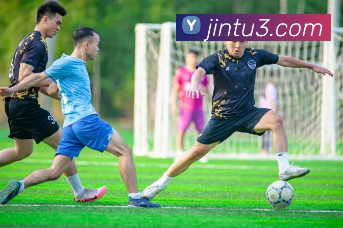 博鱼体育APP 封面图